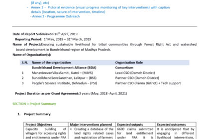 thumbnail of BRLF-Annual-Report-2018-2019